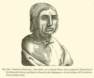 Retrato de Sannazar (gravura) de French School
