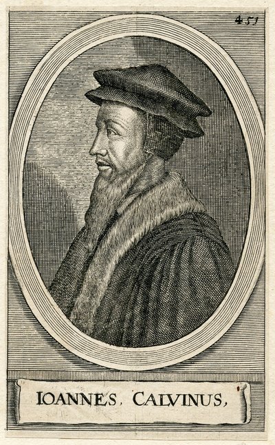 Retrato do teólogo francês John Calvin (gravura) de French School