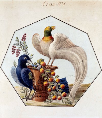 Projeto para a mesa das aves em porcelana de Alexandre Brongniart (1770-1847). 1810 Sevres, arquivo da Manufatura de Sevres de French School