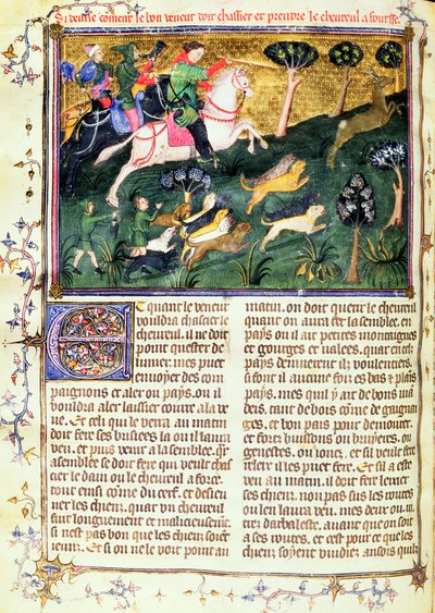 Pursuit of a Roe-buck, de Book of Hunt, texto original escrito por Gaston III, Conde de Foix Phebus, o Caçador (1331-91) Avignon, 1387-89 (guache sobre pergaminho) de French School