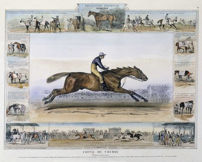 Cavalo de corrida em "Pitoresca história da equitação antiga e moderna" por Charles Aubry de French School