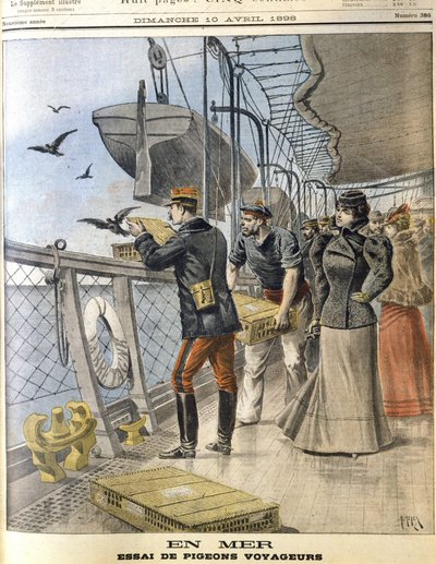 Libertação de pombos-correio do exército francês a bordo do transatlântico La Bretagne entre Le Havre e Nova Iorque de French School