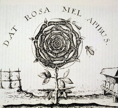 Alegoria Rosacruz, cópia de uma gravura de Johann Theodore de Bry (c.1598), usada em uma História da Magia, publicada no final do século XIX de French School