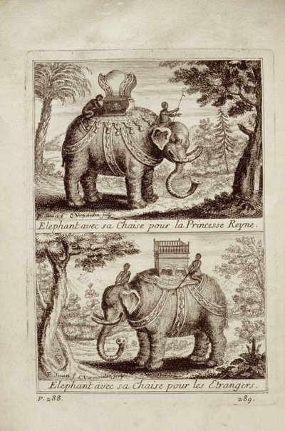 Elefantes reais, de Voyage du Siam des Peres Jesuítas por Guy Tachard, 1688 de French School