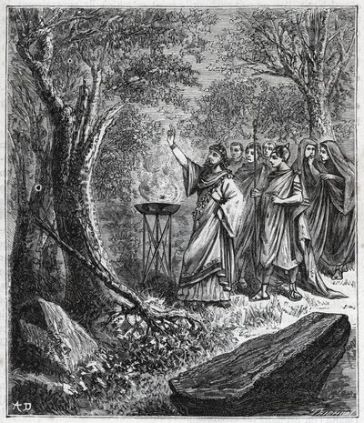 STRUFERTARI (festa na Roma antiga para purificar as malditas árvores) - Gravura em "Ciências trazidas ao alcance de todos - física e química popular" por Alexis Clerc - Final do século XIX. Colecção privada. de French School