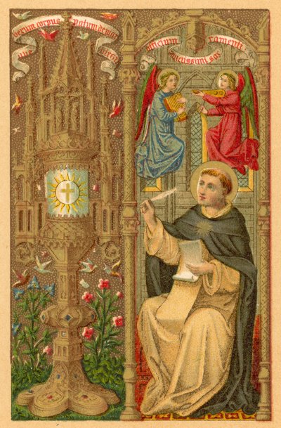 S Thomas Aquini de French School