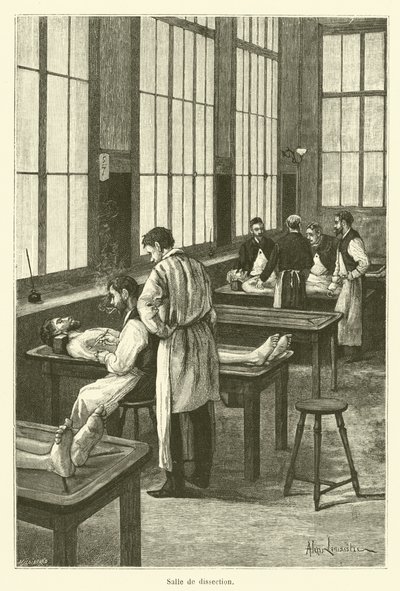 Sala de dissecação (gravação) de French School