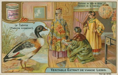 Shelduck; oferecido como um presente de casamento na China, onde é considerado como um símbolo de fidelidade de French School