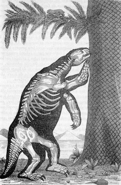 Esqueleto do megatério - em "O mundo antes da criação do homem", de Camille Flammarion de French School
