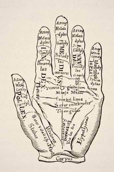 Espécimen da mão esquerda com as linhas e as suas denominações horoscópicas, de Science and Literature in The Middle Ages, de Paul Lacroix pub. Londres 1878 de French School