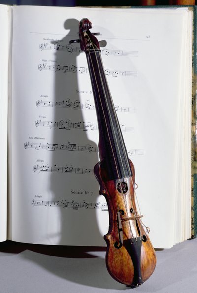 Instrumento de cordas de um mestre de dança, século XIX (madeira) de French School