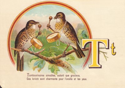 T: Tambourinarians gentis, tanto quanto graciosos, Esses loriots são encantadores para o ouvido e os olhos de French School