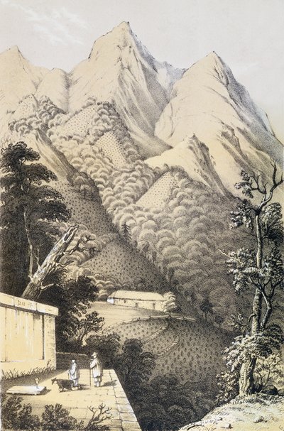Plantações de chá no distrito do Chá Verde da China, tiradas de Uma viagem aos países do chá da China, publicado pela primeira vez em 1852, por Robert Fortune (1812-1880) de French School