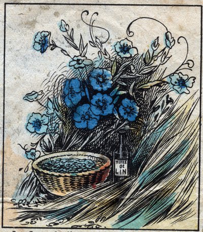 Têxtil, linho. Flor de linho (azul), caule composto de palha e filamentos para fazer fio de linho. Semente usada na medicina e da qual se extrai óleo para a indústria. Gravura. Imagem epinal do final do século XIX. de French School