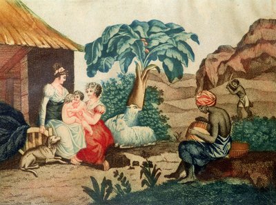 A Infância de Paul e Virginie, de &39;Paul et Virginie&39; de Henri Bernardin de Saint-Pierre (1737-1814) de French School
