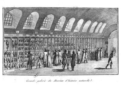 A Grande Galeria do Museu de História Natural de Paris de French School