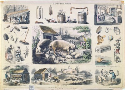 O porco e seus produtos de French School