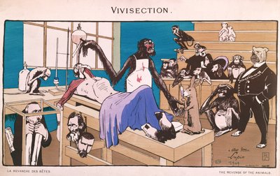 A vingança dos animais, caricatura da vivissecção, 1909 de French School