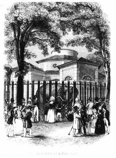 O elefante rotunda do jardim das plantas em Paris - gravura de French School