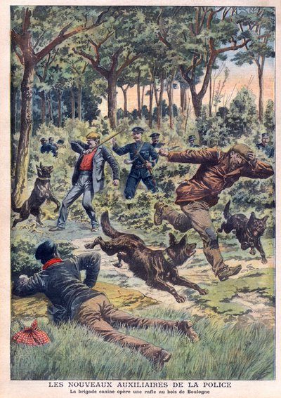 Os novos auxiliares de polícia: a brigada canina opera uma ronda no Bois de Boulogne, ilustração do "Le Petit Journal" de 28 de julho de French School