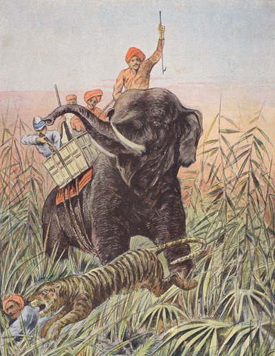 Caça ao tigre, Índia (litografia a cores) de French School