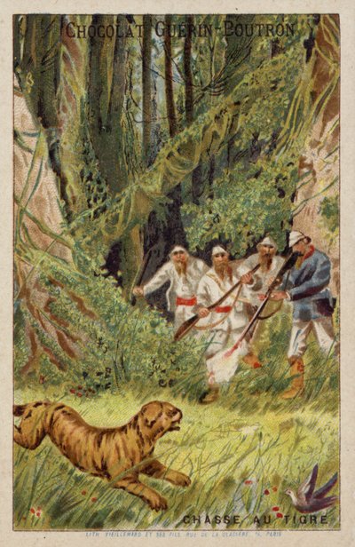 Caça ao Tigre de French School