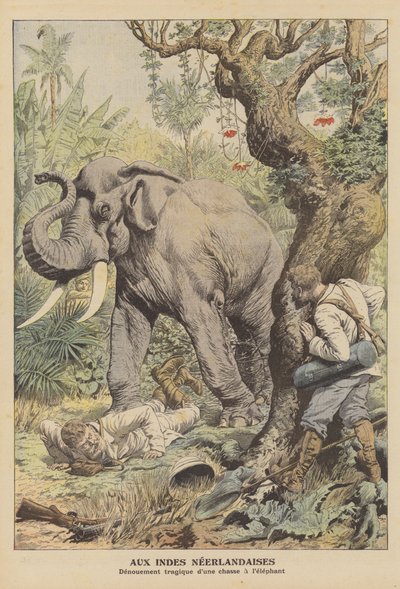 Trágico final de uma caça ao elefante nas Índias Orientais Holandesas (lito colorido) de French School