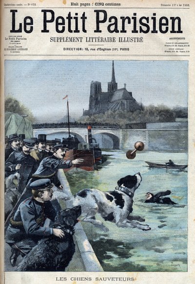 Treinamento de cães de resgate pela polícia no Sena, em Paris. Gravação em " Le petit Parisien". de French School