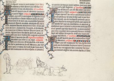 Transportando pertences em uma carroça puxada por bois, miniatura inacabada da Bíblia de Jean de Sy, c.1355 de French School
