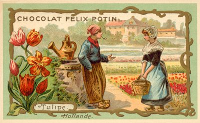 Tulips, Países Baixos (chromolitho) de French School