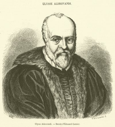 Ulysse Aldrovandi (gravura) de French School