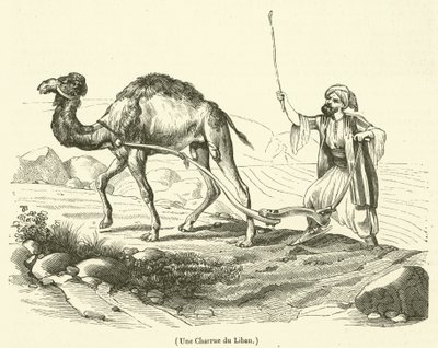 Um arado do Líbano (gravura) de French School