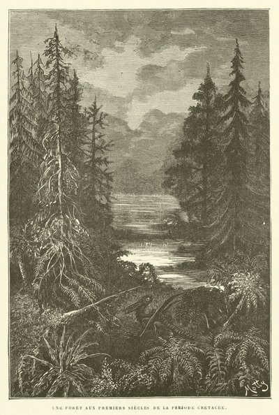Uma floresta nos primeiros séculos do período Cretáceo (gravura) de French School
