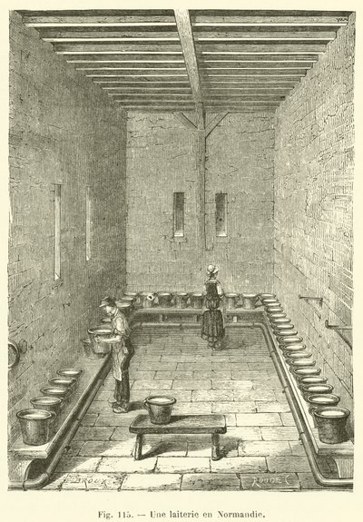 Uma leiteria na Normandia (gravura) de French School