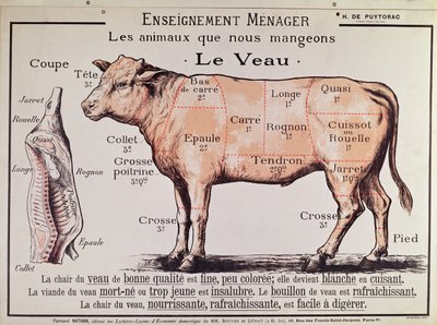 Vitela: diagrama representando os diferentes cortes de carne de French School