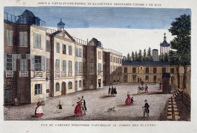Vista do gabinete de história natural no Jardin des Plantes em Paris - gravura de French School