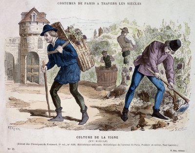 A cultura da vinha no século XV - em "Costume de Paris through the centuries" (Traje de Paris através dos séculos) de French School