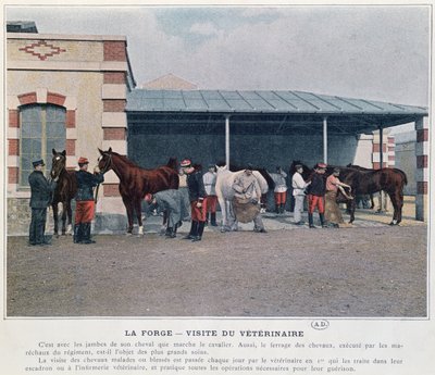 Visita do Veterinário do Exército ao Quartel, 1897 (cor lito, depois de uma foto colorida) de French School