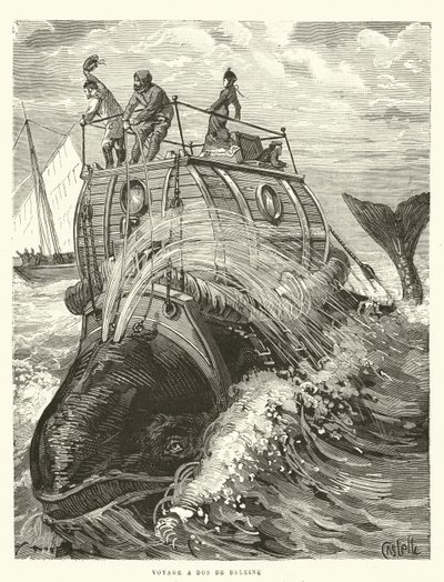 Voyage a Dos de Baleine (gravura) de French School
