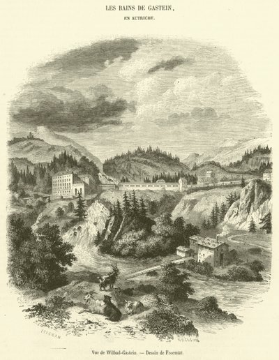 Vista de Wilbad-Gastein (gravura) de French School
