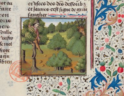 Esperando por um cervo escondido em uma árvore, do Livre de la Chasse por Gaston Phebus de French School