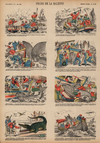 Caça à baleia (gravação colorida) de French School