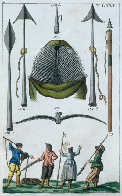 Baleia implementa, 2ª metade do século XVIII (gravura a cores) de French School