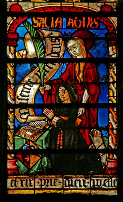 Janela w234 retratando um doador - Agnes Bonjean com St Agnes de French School