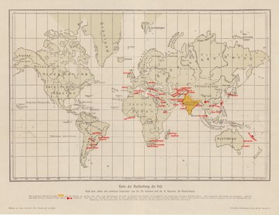 Mapa-mundo da propagação da peste (litografia a cores) de French School