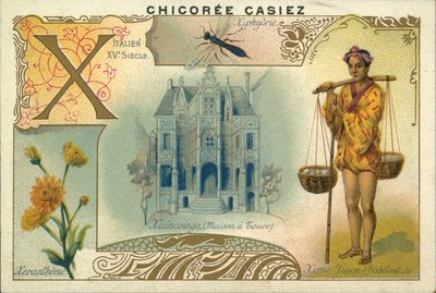 Xerântemo, Ximo Japonês, Casa dos Passeios e Vespa da Madeira (cromolitho) de French School