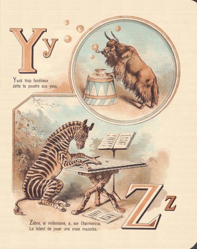 YZ: Sim, Zebra de French School