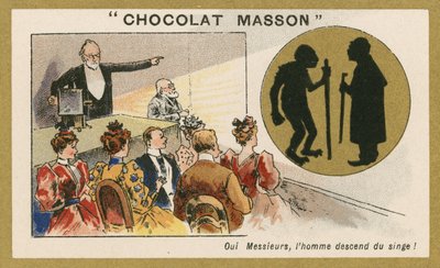 Sim, o homem descende de um macaco de French School