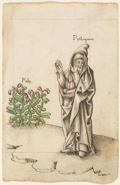 "Não Coma Feijão" [fol. 25 reto] de French early 16th Century