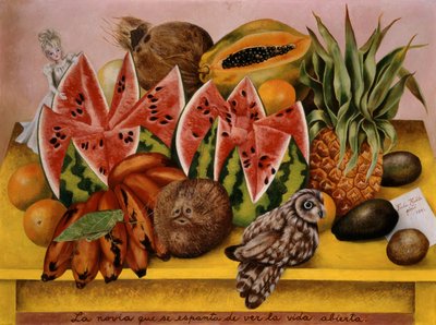 A Noiva Assustada ao Ver a Vida Aberta de Frida Kahlo